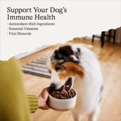 American Journey Limited Ingredient Venison & Sweet Potato Recipe Grain-Free Dry Dog Food -ROYAL CANIN Shop 140926 PT2. AC SS1800 V1663609668