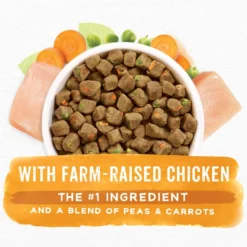 Purina Beneful Simple Goodness With Farm-Raised Chicken Dry Dog Food -ROYAL CANIN Shop 141252 PT3. AC SS1800 V1695837056