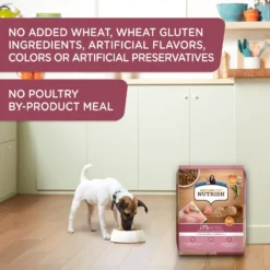 Rachael Ray Nutrish Little Bites Small Breed Real Chicken & Veggies Recipe Dry Dog Food -ROYAL CANIN Shop 142436 PT5. AC SS1800 V1657655543