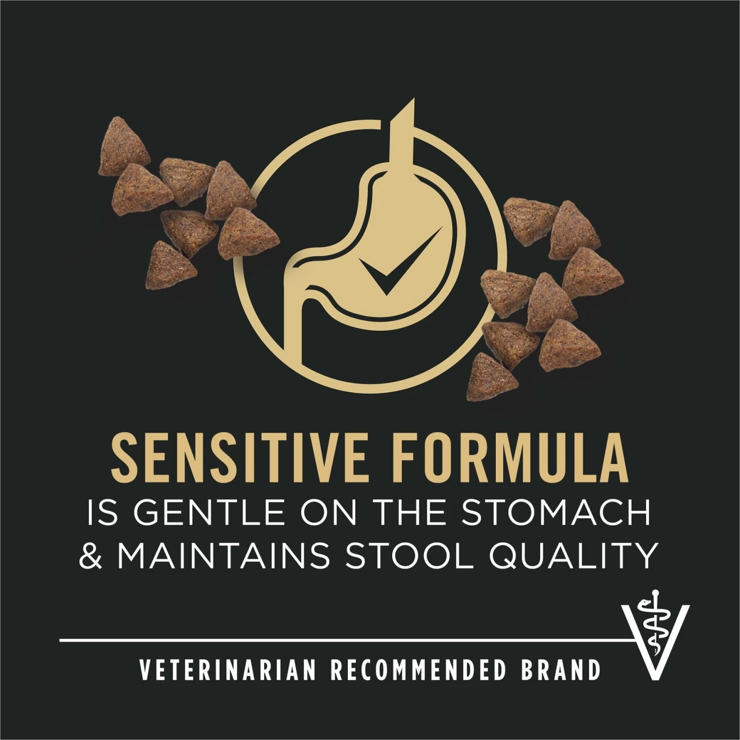 Purina Pro Plan Small Breed Adult Sensitive Skin & Stomach Formula Dry Dog Food 3 Purina Pro Plan Small Breed Adult Sensitive Skin & Stomach Formula Dry Dog Food - Image 3