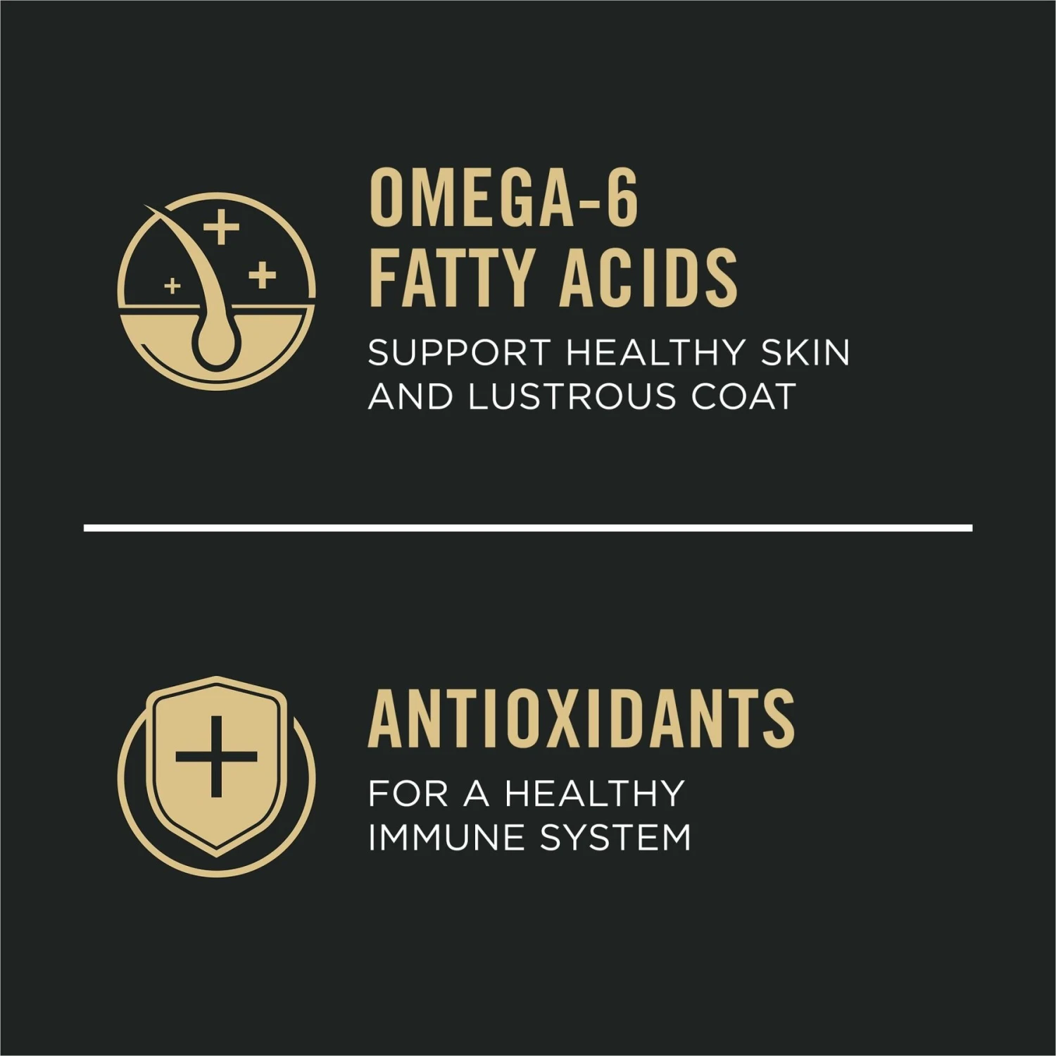 Purina Pro Plan Small Breed Adult Sensitive Skin & Stomach Formula Dry Dog Food 8 Purina Pro Plan Small Breed Adult Sensitive Skin & Stomach Formula Dry Dog Food - Image 8