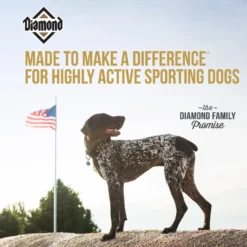 Diamond Hi-Energy Sporting Dog Formula Dry Dog Food -ROYAL CANIN Shop 143239 PT4. AC SS1800 V1641254218