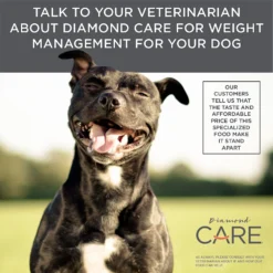 Diamond Care Weight Management Formula Adult Grain-Free Dry Dog Food -ROYAL CANIN Shop 143251 PT6. AC SS1800 V1587655634