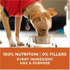 Purina ONE +Plus Adult High-Protein Healthy Weight Formula Dry Dog Food -ROYAL CANIN Shop 143260 PT7. AC SS1800 V1676321125