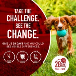 Purina ONE Natural Large Breed +Plus Formula Dry Dog Food -ROYAL CANIN Shop 143261 PT7. AC SS1800 V1676317019