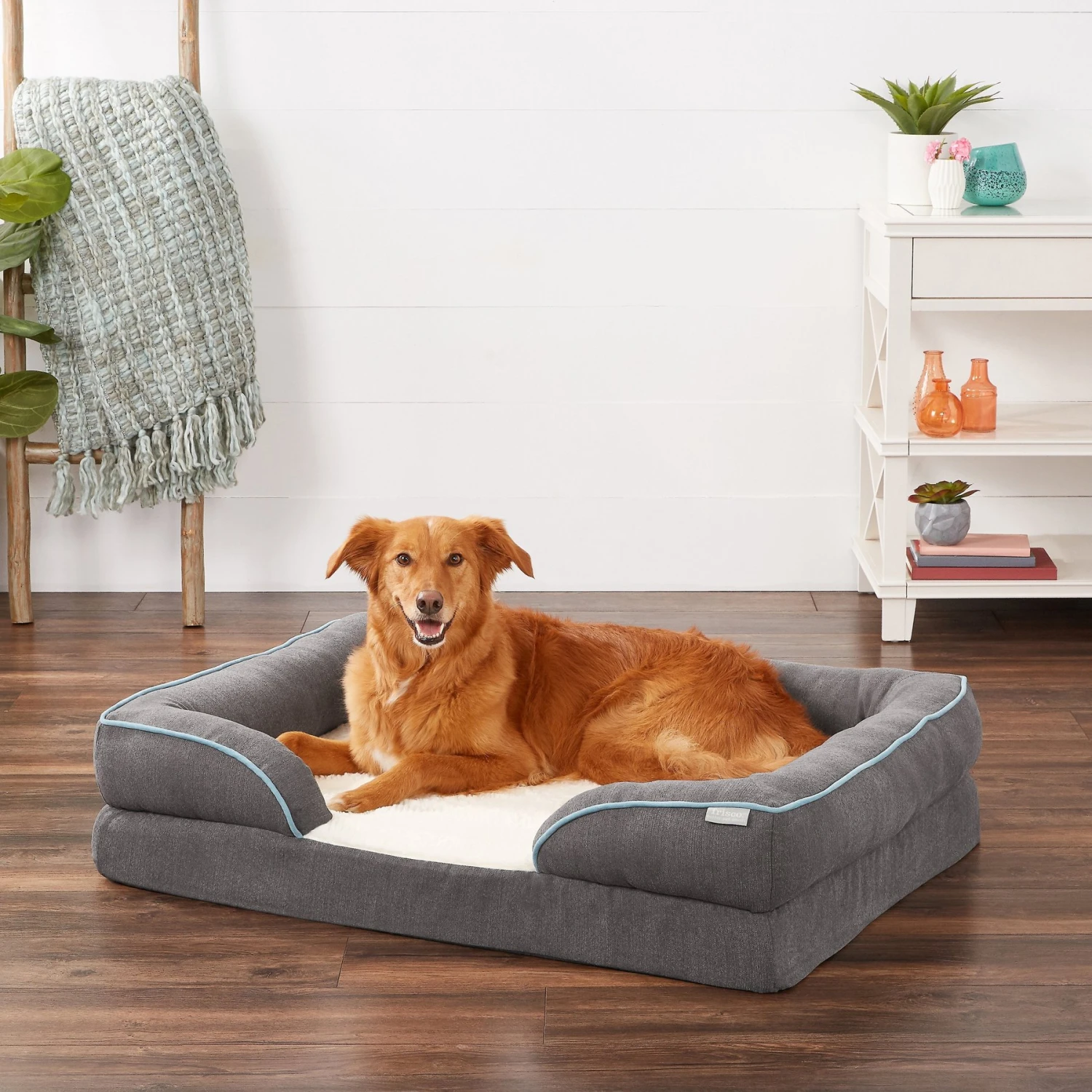 Frisco Plush Orthopedic Front Bolster Cat & Dog Bed W/Removable Cover 1 Frisco Plush Orthopedic Front Bolster Cat & Dog Bed W/Removable Cover