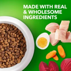 Iams Proactive Health Small & Toy Breed Puppy High Protein DHA Formula With Real Chicken Dry Dog Food -ROYAL CANIN Shop 145145 PT3. AC SS1800 V1668023610