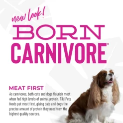 Tiki Dog Born Carnivore Savory Lamb, Peas & Lentils, Baked Dry Dog Food -ROYAL CANIN Shop 145214 PT6. AC SS1800 V1701795875
