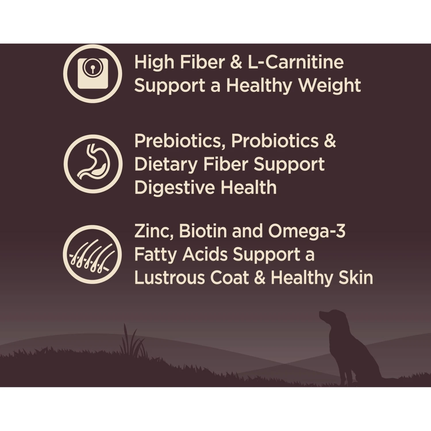 Wellness CORE Grain-Free Small Breed Healthy Weight Deboned Turkey Recipe Dry Dog Food 3 Wellness CORE Grain-Free Small Breed Healthy Weight Deboned Turkey Recipe Dry Dog Food - Image 3