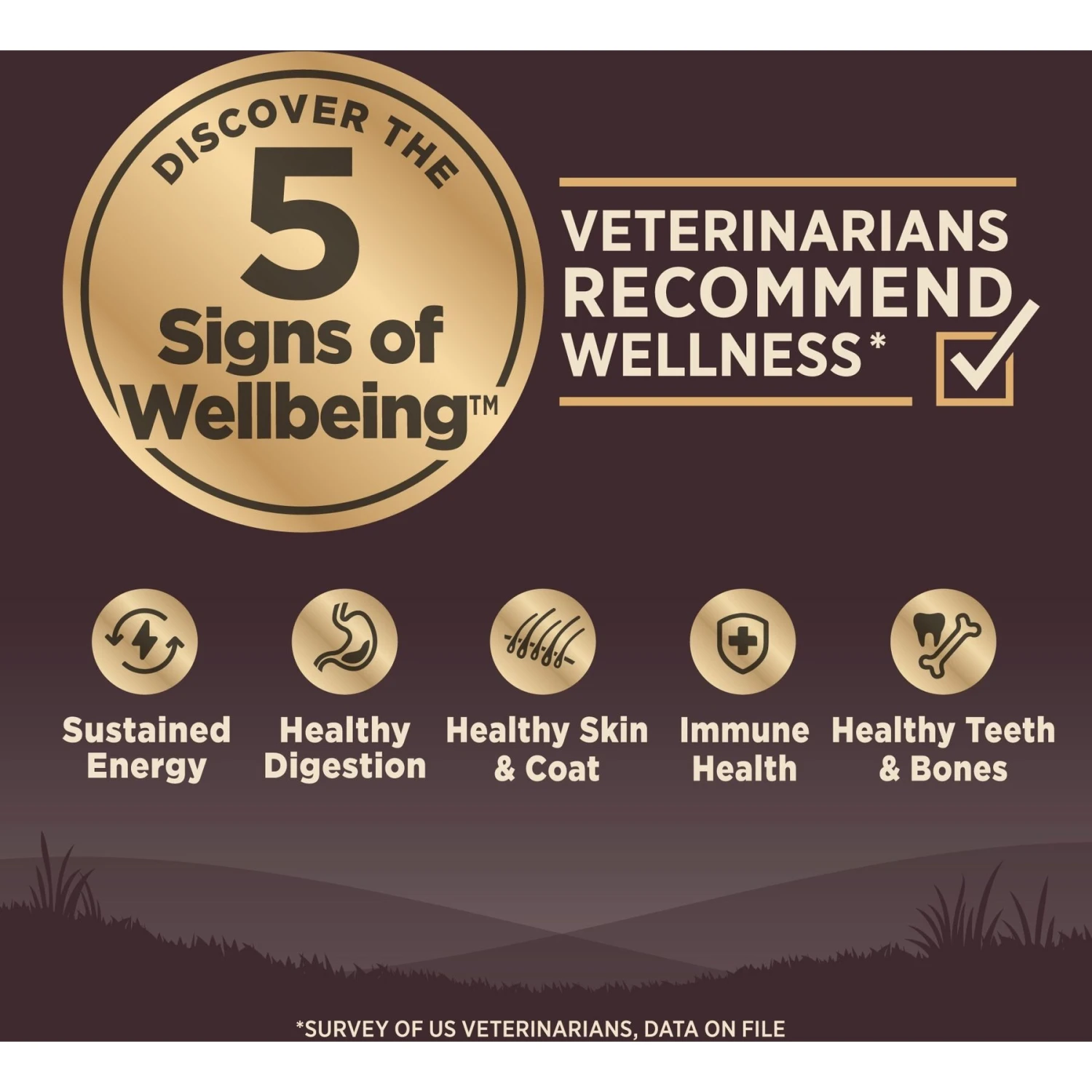 Wellness CORE Grain-Free Small Breed Healthy Weight Deboned Turkey Recipe Dry Dog Food 4 Wellness CORE Grain-Free Small Breed Healthy Weight Deboned Turkey Recipe Dry Dog Food - Image 4