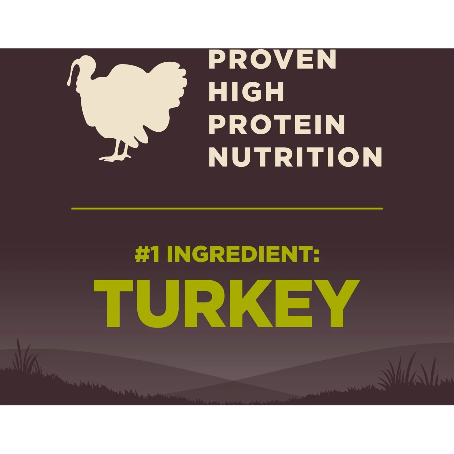 Wellness CORE Grain-Free Small Breed Healthy Weight Deboned Turkey Recipe Dry Dog Food 5 Wellness CORE Grain-Free Small Breed Healthy Weight Deboned Turkey Recipe Dry Dog Food - Image 5