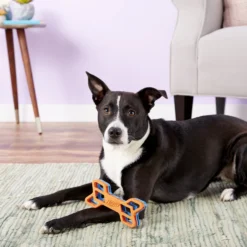 Nerf Dog EXO Treat Dispensing Bone Dog Toy -ROYAL CANIN Shop 148525 PT6. AC SS1800 V1531938429