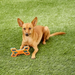 Nerf Dog EXO Treat Dispensing Bone Dog Toy -ROYAL CANIN Shop 148525 PT7. AC SS1800 V1545252620