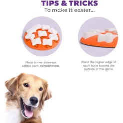 Nina Ottosson By Outward Hound Puppy Smart Dog Toy -ROYAL CANIN Shop 148603 PT3. AC SS1800 V1694287423