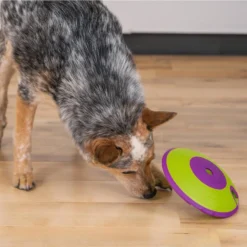 Nina Ottosson By Outward Hound Treat Maze Puzzle Game Dog Toy -ROYAL CANIN Shop 148605 PT4. AC SS1800 V1694286715