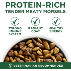 Purina ONE +Plus Adult Small Breed Lamb & Rice Formula Dry Dog Food -ROYAL CANIN Shop 148609 PT2. AC SS1800 V1686062870