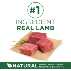 Purina ONE +Plus Adult Small Breed Lamb & Rice Formula Dry Dog Food -ROYAL CANIN Shop 148609 PT3. AC SS1800 V1686062868