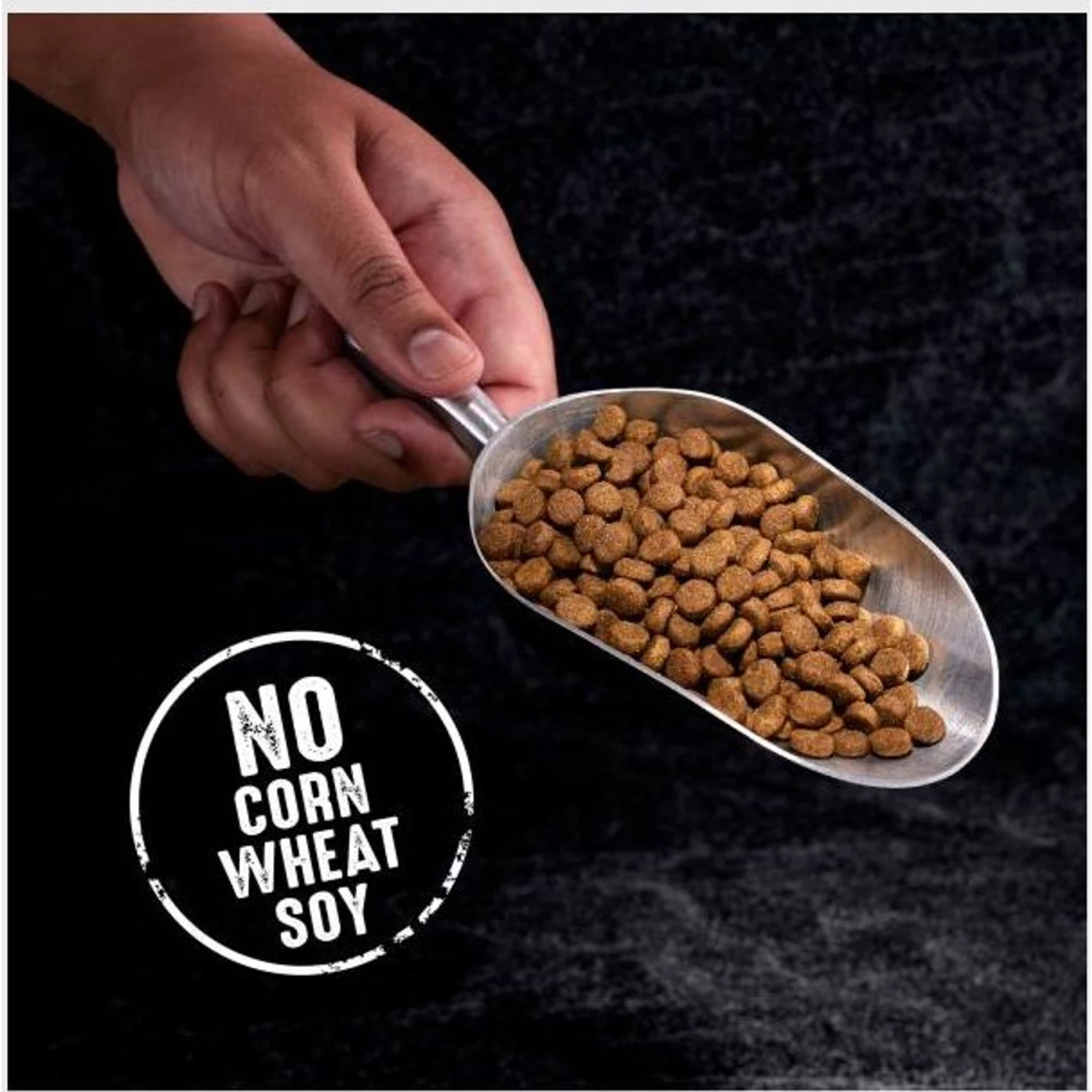 Crave High Protein Beef Adult Grain-Free Dry Dog Food 3 Crave High Protein Beef Adult Grain-Free Dry Dog Food - Image 3