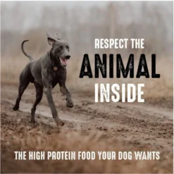 Crave High Protein Beef Adult Grain-Free Dry Dog Food 12 Crave High Protein Beef Adult Grain-Free Dry Dog Food -ROYAL CANIN Shop 149517 PT3. AC SS1800 V1688753924