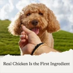 American Journey Chicken Recipe Grain-Free Soft & Chewy Training Bits Dog Treats -ROYAL CANIN Shop 151156 PT4. AC SS1800 V1567707428