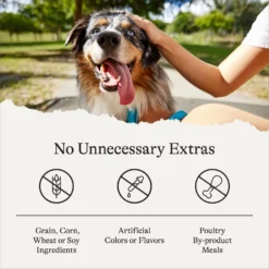 American Journey Salmon Recipe Grain-Free Soft & Chewy Training Bits Dog Treats -ROYAL CANIN Shop 151162 PT7. AC SS1800 V1567707781