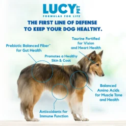 Lucy Pet Products Formulas For Life Grain-Free Duck, Pumpkin & Quinoa Formula Dry Dog Food -ROYAL CANIN Shop 151349 PT5. AC SS1800 V1581698319