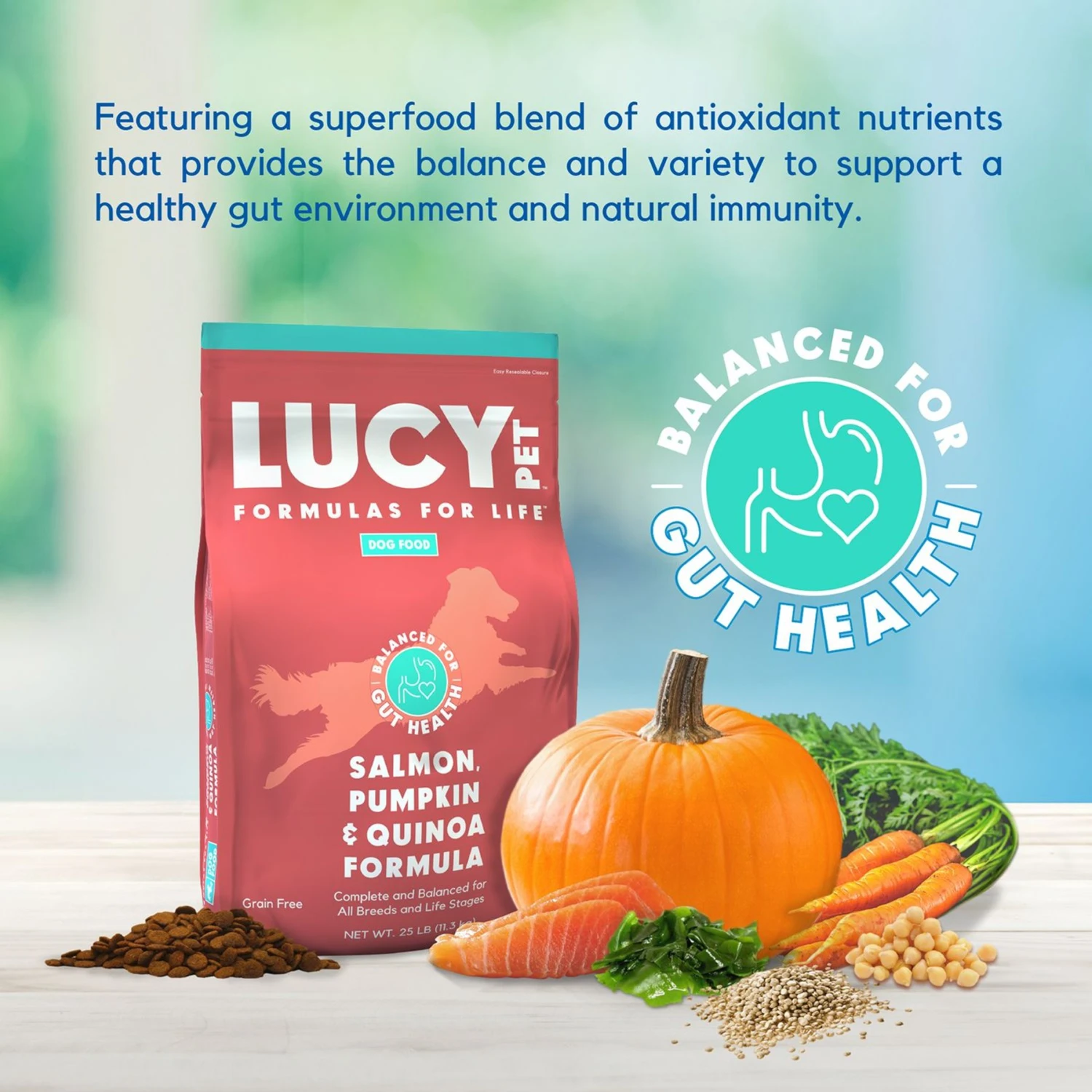 Lucy Pet Products Formulas For Life Grain-Free Salmon, Pumpkin & Quinoa Formula Dry Dog Food 2 Lucy Pet Products Formulas For Life Grain-Free Salmon, Pumpkin & Quinoa Formula Dry Dog Food - Image 2