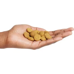 Purina Pro Plan Adult Large Breed Chicken & Rice Formula Dry Dog Food -ROYAL CANIN Shop 151474 PT4. AC SS1800 V1657910575