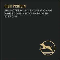 Purina Pro Plan Adult Large Breed Chicken & Rice Formula Dry Dog Food -ROYAL CANIN Shop 151474 PT6. AC SS1800 V1657910573