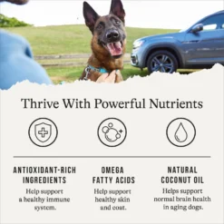 American Journey Senior Chicken & Sweet Potato Recipe Grain-Free Dry Dog Food -ROYAL CANIN Shop 151814 PT4. AC SS1800 V1665439200