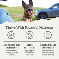 American Journey Protein & Grains Senior Chicken, Brown Rice & Vegetables Recipe Dry Dog Food 13 American Journey Protein & Grains Senior Chicken, Brown Rice & Vegetables Recipe Dry Dog Food -ROYAL CANIN Shop 153933 PT4. AC SS1800 V1668736315