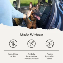 American Journey Protein & Grains Senior Chicken, Brown Rice & Vegetables Recipe Dry Dog Food 15 American Journey Protein & Grains Senior Chicken, Brown Rice & Vegetables Recipe Dry Dog Food -ROYAL CANIN Shop 153933 PT6. AC SS1800 V1680624916