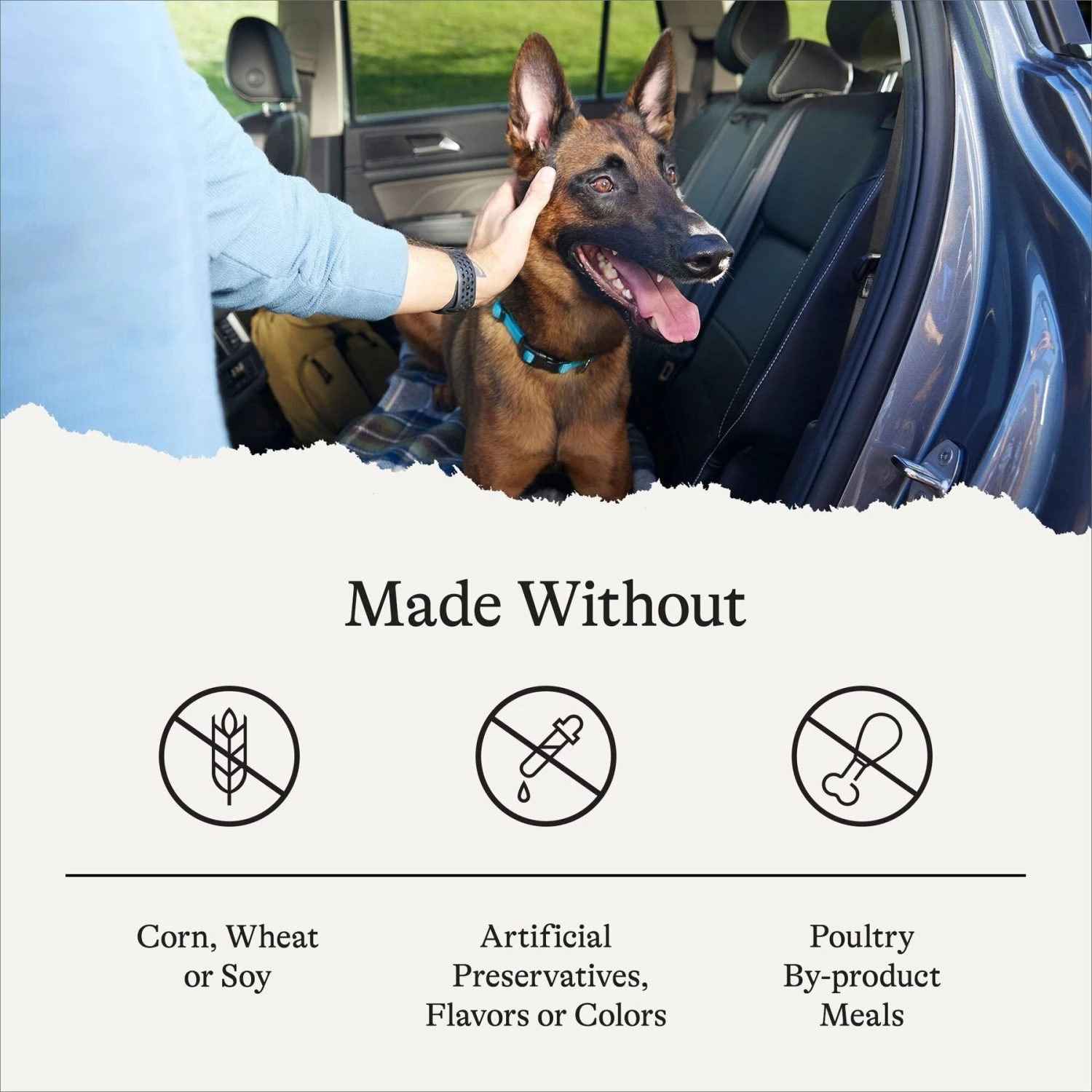 American Journey Protein & Grains Senior Chicken, Brown Rice & Vegetables Recipe Dry Dog Food 7 American Journey Protein & Grains Senior Chicken, Brown Rice & Vegetables Recipe Dry Dog Food - Image 7