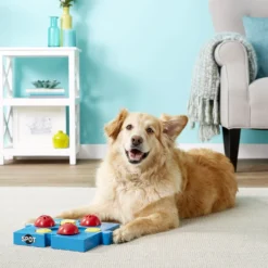 Ethical Pet Seek-A-Treat Flip N Slide Puzzle Dog Toy 6 Ethical Pet Seek-A-Treat Flip N Slide Puzzle Dog Toy -ROYAL CANIN Shop 154209 PT2. AC SS1800 V1554127533