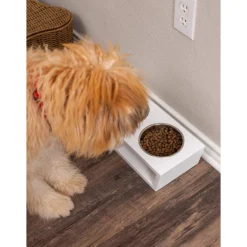 Internet's Best Modern Elevated Dog & Cat Bowls -ROYAL CANIN Shop 154379 PT4. AC SS1800 V1540502048