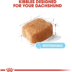 Royal Canin Breed Health Nutrition Dachshund Adult 8+ Dry Dog Food -ROYAL CANIN Shop 154778 PT3. AC SS1800 V1695219983