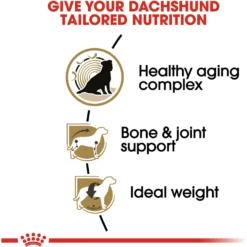 Royal Canin Breed Health Nutrition Dachshund Adult 8+ Dry Dog Food -ROYAL CANIN Shop 154778 PT4. AC SS1800 V1695218670
