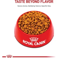 Featured Products -ROYAL CANIN Shop 154780 PT1. AC SS1800 V1695217616