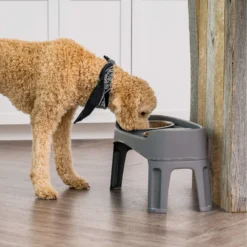 IRIS USA Elevated Dog Feeder With Attachable Feet -ROYAL CANIN Shop 156889 PT2. AC SS1800 V1598660494