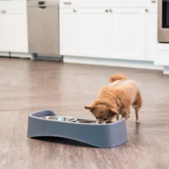 IRIS USA Elevated Dog Feeder With Attachable Feet -ROYAL CANIN Shop 156889 PT3. AC SS1800 V1598650940