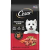 Cesar Porterhouse Flavor & Spring Vegetables Garnish Small Breed Adult Dry Dog Food