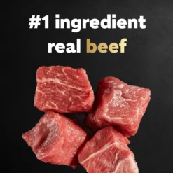 Cesar Porterhouse Flavor & Spring Vegetables Garnish Small Breed Adult Dry Dog Food -ROYAL CANIN Shop 157059 PT4. AC SS1800 V1695666356