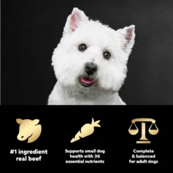 Cesar Porterhouse Flavor & Spring Vegetables Garnish Small Breed Adult Dry Dog Food -ROYAL CANIN Shop 157059 PT8. AC SS1800 V1695666352