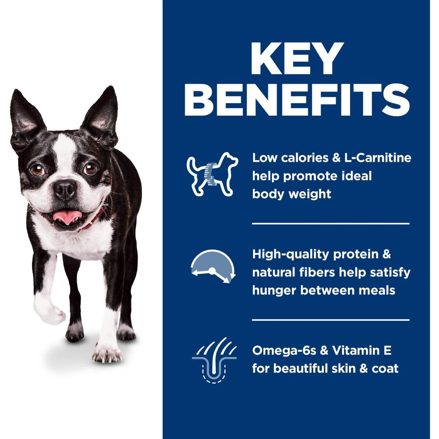 Hill's Science Diet Adult Light Small Bites With Chicken Meal & Barley Dry Dog Food 6 Hill's Science Diet Adult Light Small Bites With Chicken Meal & Barley Dry Dog Food - Image 6