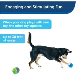 PetSafe Ricochet Interactive Sound Game Dog Toy -ROYAL CANIN Shop 159052 PT5. AC SS1800 V1599844596