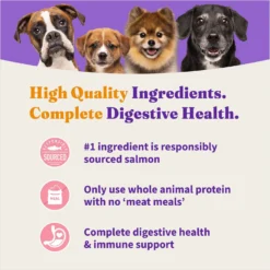 Halo Holistic Complete Digestive Health Wild-Caught Salmon & Whitefish Adult Dry Dog Food -ROYAL CANIN Shop 159196 PT5. AC SS1800 V1697219545