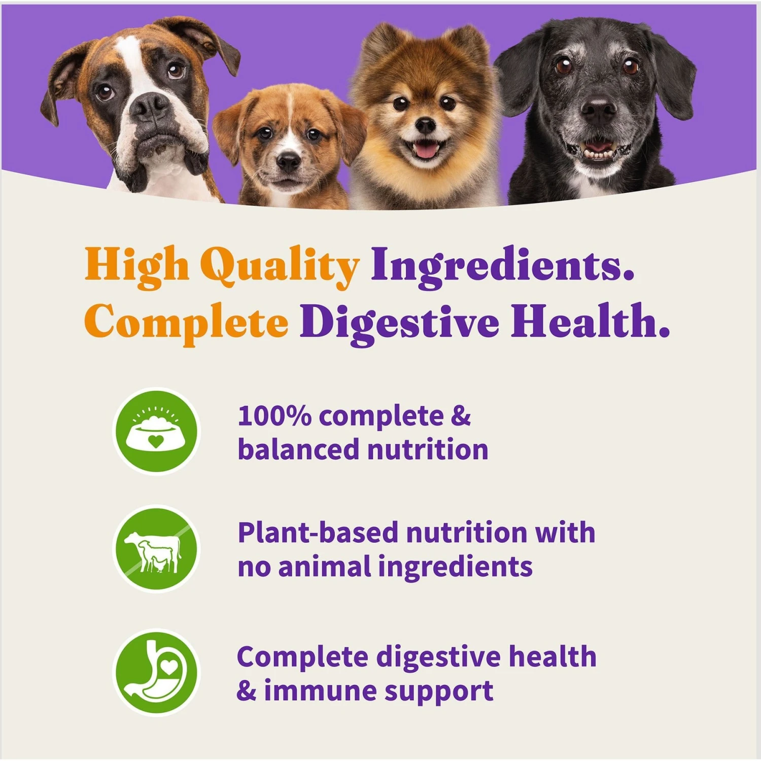 Halo Holistic Vegan Dog Food Complete Digestive Health Plant-Based Recipe With Superfoods Adult Formula Dry Dog Food 5 Halo Holistic Vegan Dog Food Complete Digestive Health Plant-Based Recipe With Superfoods Adult Formula Dry Dog Food - Image 5