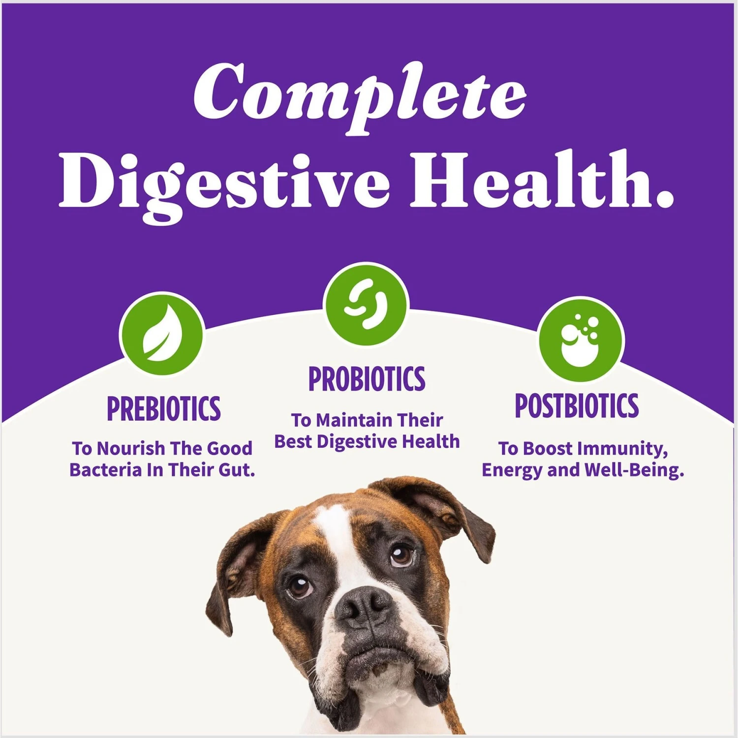 Halo Holistic Vegan Dog Food Complete Digestive Health Plant-Based Recipe With Superfoods Adult Formula Dry Dog Food 7 Halo Holistic Vegan Dog Food Complete Digestive Health Plant-Based Recipe With Superfoods Adult Formula Dry Dog Food - Image 7