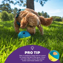 Nina Ottosson By Outward Hound Treat Tumble Puzzle Game Dog Toy -ROYAL CANIN Shop 159436 PT3. AC SS1800 V1694287367