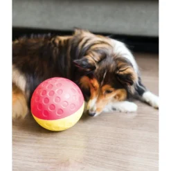 Nina Ottosson By Outward Hound Treat Tumble Puzzle Game Dog Toy -ROYAL CANIN Shop 159436 PT7. AC SS1800 V1636515201